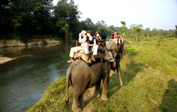 Chitwan Jungle Safari Tour