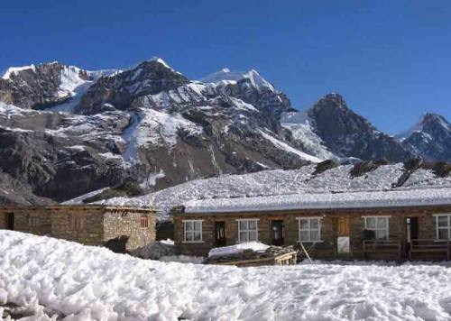 Annapurna Trekking