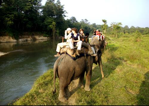 Chitwan Jungle Safari Tour